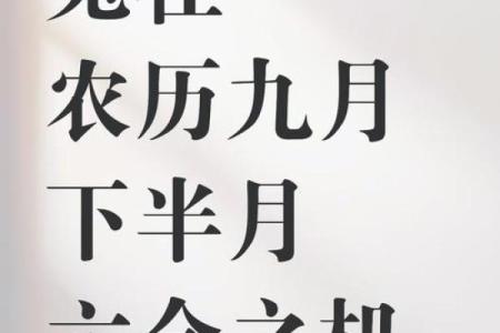 2011年命运解析：属兔人如何迎接未来的挑战与机遇