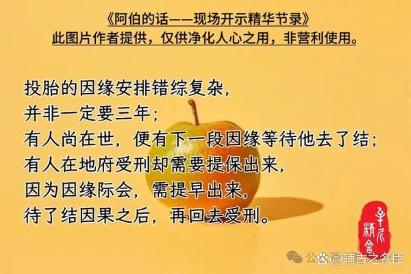 医生与佛门：解密生命的真正意义与命运之道