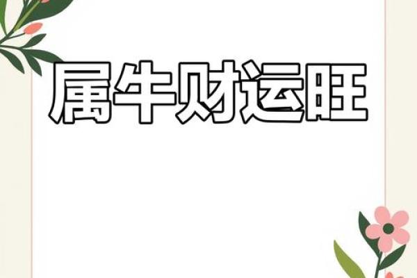 属牛金命者的理想钱包选择与运势提升