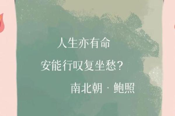 命运如棋，人生百局：探讨“命”与“运”的成语哲学