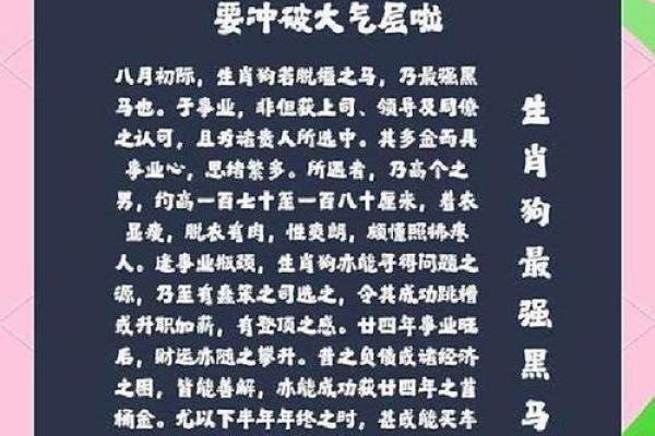 一九八二属狗之命：探秘其人生轨迹与性格魅力