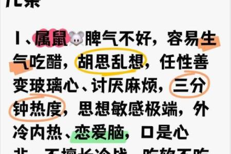 属相73年的命格解析：命运与性格的交织故事