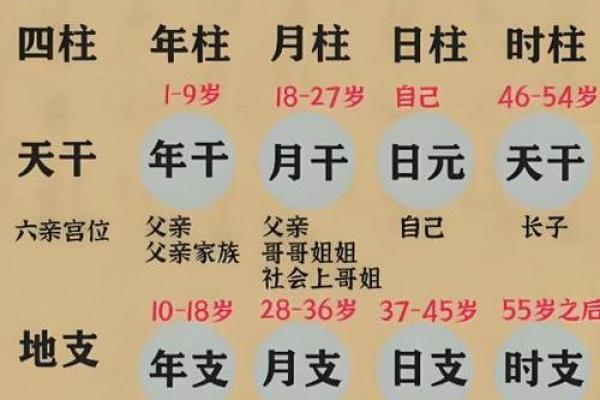了解1994年申时出生者的命理特征与人生发展