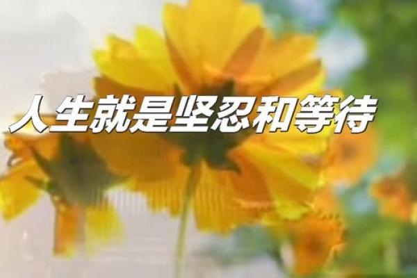 1992年出生的羊：命运与人生的美丽旅程