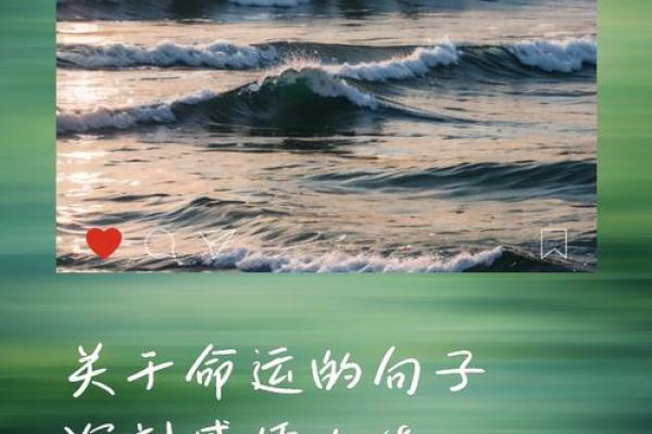 根据你的格局决定你的命运，解锁人生成功密码！