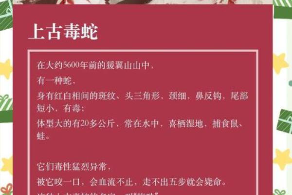 探秘土命蛇：揭示缺失的五行属性与命理秘密