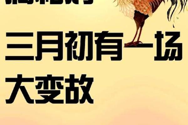 一九九三属鸡的命理解析：财富、事业与人生的精彩旅程