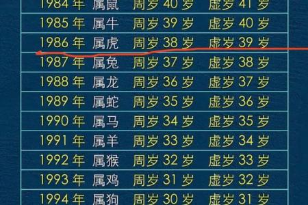 1980年出生的猴子，属于金命的人生轨迹与运势分析