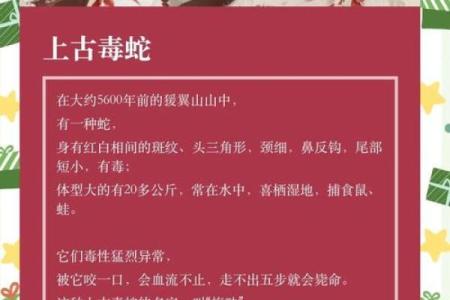 探秘土命蛇：揭示缺失的五行属性与命理秘密