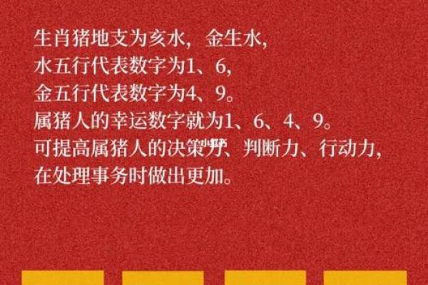 探秘2017年度猪年命运：生肖猪的神秘与未来展望