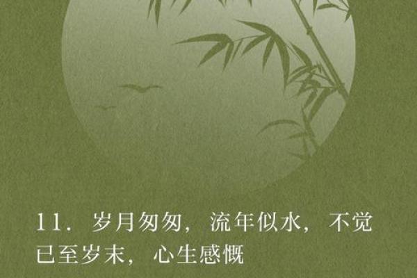 那些年的人是什么命:探寻命运的奥秘与岁月的印记 那些年的人是什么命:探寻命运的奥秘与岁月的印记