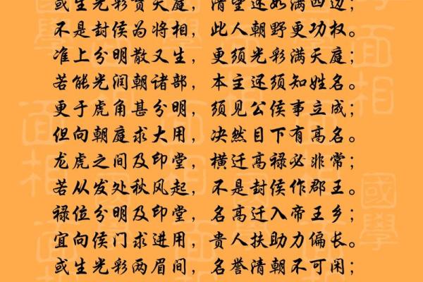 探秘命理学中的仙命：命运与灵性的交织之道