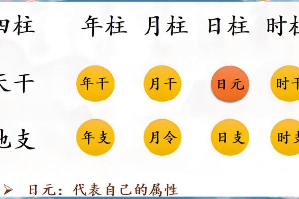 根据出生日期知命运：揭示你生命的密码与奥秘