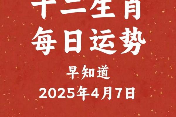 2018年的生肖运势解析：明年谁会迎来幸福与挑战？
