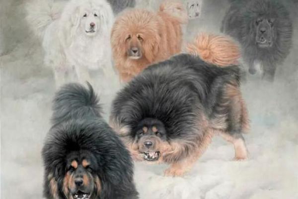 1970年的狗：命运与水的交织探索