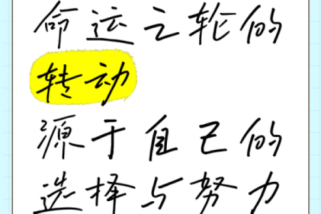 绳子套命：探讨命运与选择的纠葛与智慧