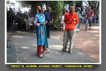 什么叫公主身子丫环命？解析背后的深意与生活哲学