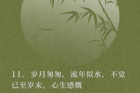 那些年的人是什么命：探寻命运的奥秘与岁月的印记