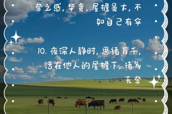 如命似纸，轻如鸿毛：生活中的无奈与坚持