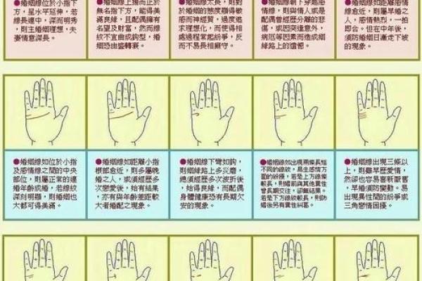 看手相：揭示命运与内心的秘密，了解你能问什么