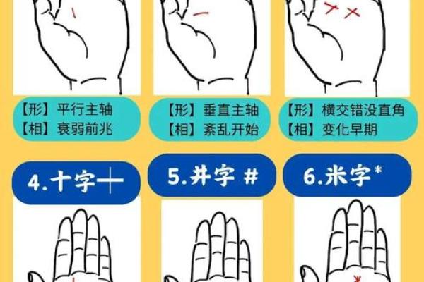 看手相：揭示命运与内心的秘密，了解你能问什么