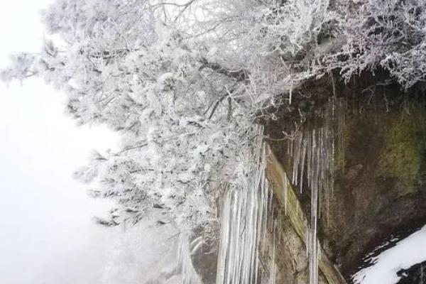 1981年腊月十五：记忆中的那场冬雪与温暖的故事