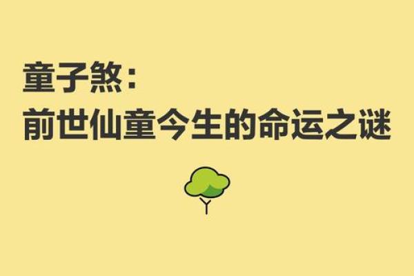 走进神秘的命理世界：探寻跑堂童子命的真谛