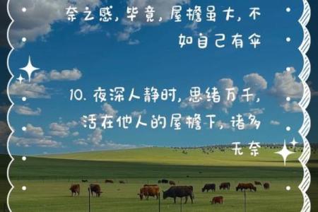 如命似纸，轻如鸿毛：生活中的无奈与坚持