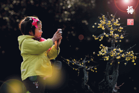 1981年腊月十五：记忆中的那场冬雪与温暖的故事