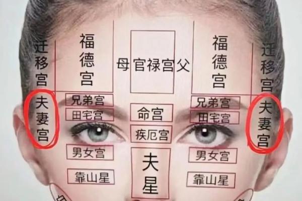 探秘面相：如何识别拥有官运之人