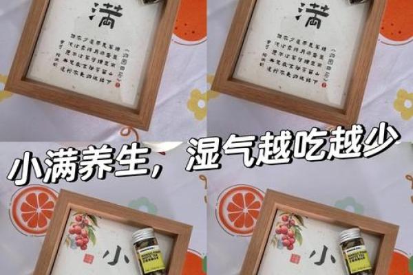 如何通过饮食获取健康与活力，实现长久生命的秘密