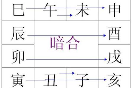 午亥暗合：探索命理背后的秘密与魅力