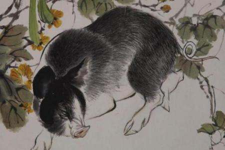 属猪鼠出洞，洞察命运的秘密与启示