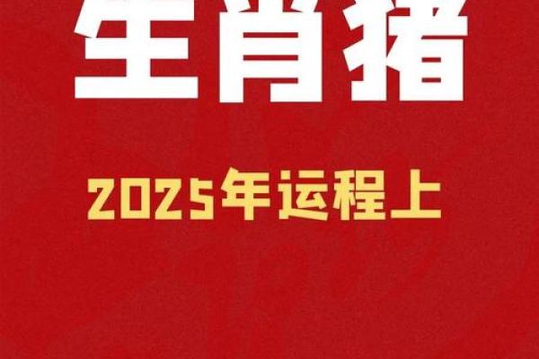 揭开属猪人的命运之谜：2014年的猪年与命理解析