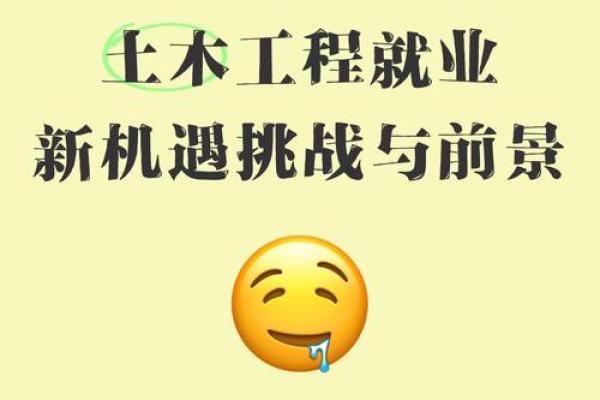 土木命的职场选择：适合哪些行业与发展方向？