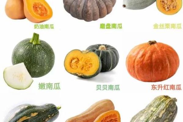 算命南瓜命：揭示你的命运与生活中的奇妙联系