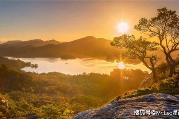 2022年金箔金的运势分析：如何把握机会，赢得财富与成功？