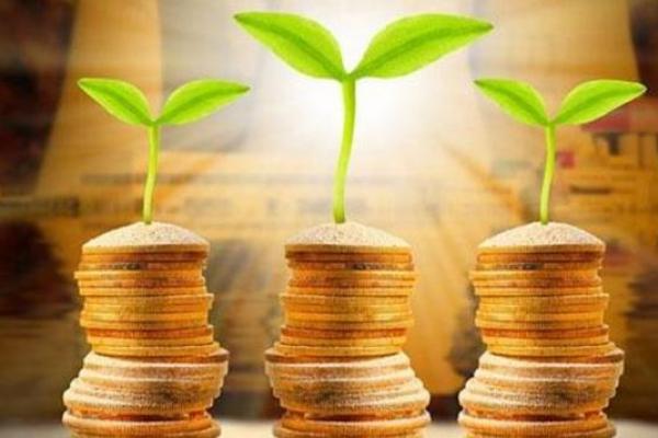 2019年的土命年揭秘：它对你生活的影响与指引