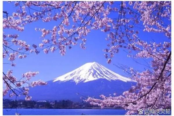 探寻命运的迷雾:为什么大家总说命不好? 探寻命运的迷雾:为什么大家总说命不好?