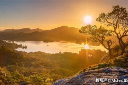 2022年金箔金的运势分析：如何把握机会，赢得财富与成功？