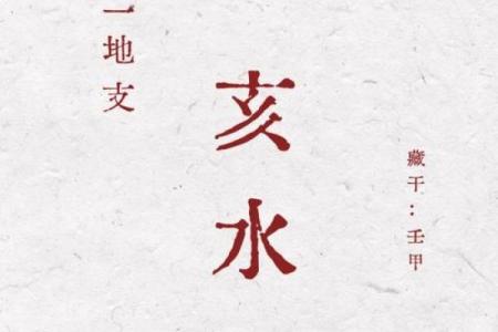 探索三亥以外的命理奥秘，揭示个体命运的多样性与丰富性