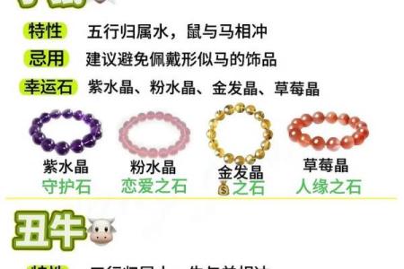 鼠年出生女孩的命运解析：智慧与灵动的结合之路