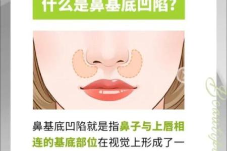 鼻头大的女生命运解析：寻找幸福的秘诀与未来展望