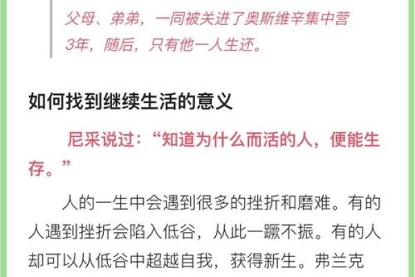 什么是命，生命的意义与我们相处的方式