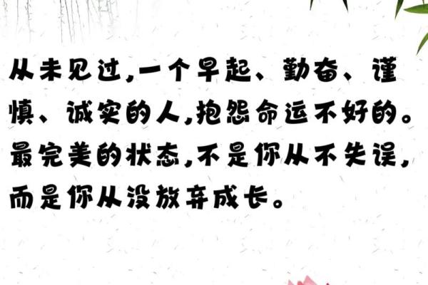 弱小者的奋斗与坚持：从奋斗到成功的启示