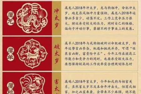 探秘女性命运：从婚姻看生肖与命理的深层关系