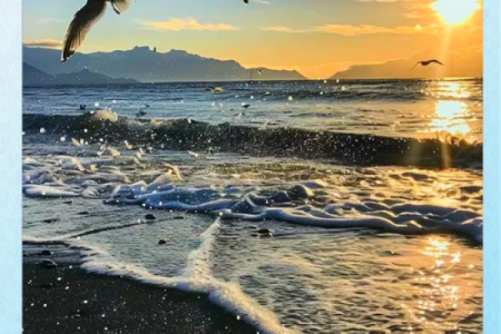 海鸥命的人：自由灵魂与追逐梦想的勇士