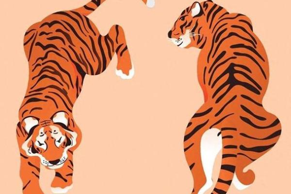 1990年属虎人的命运解析：充满力量与挑战的生命旅程