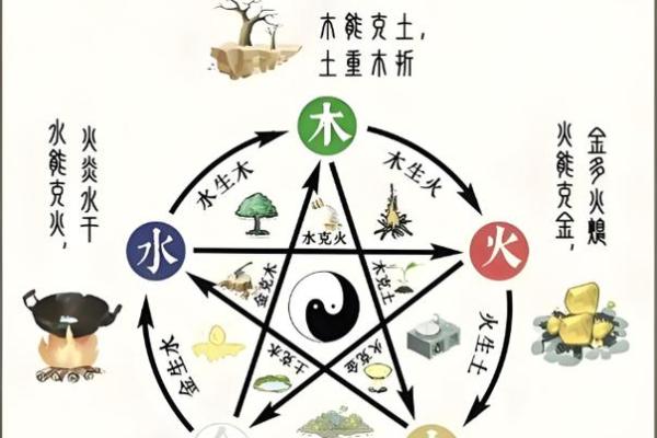 五行命理：探秘金木水火土的神秘力量与人生影响