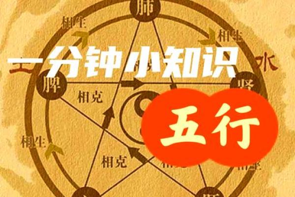 命格与五行：解读你属于哪个元素的秘密